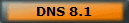 DNS 8.1