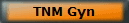 TNM Gyn