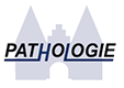 Pathologie Lübeck – zur Startseite